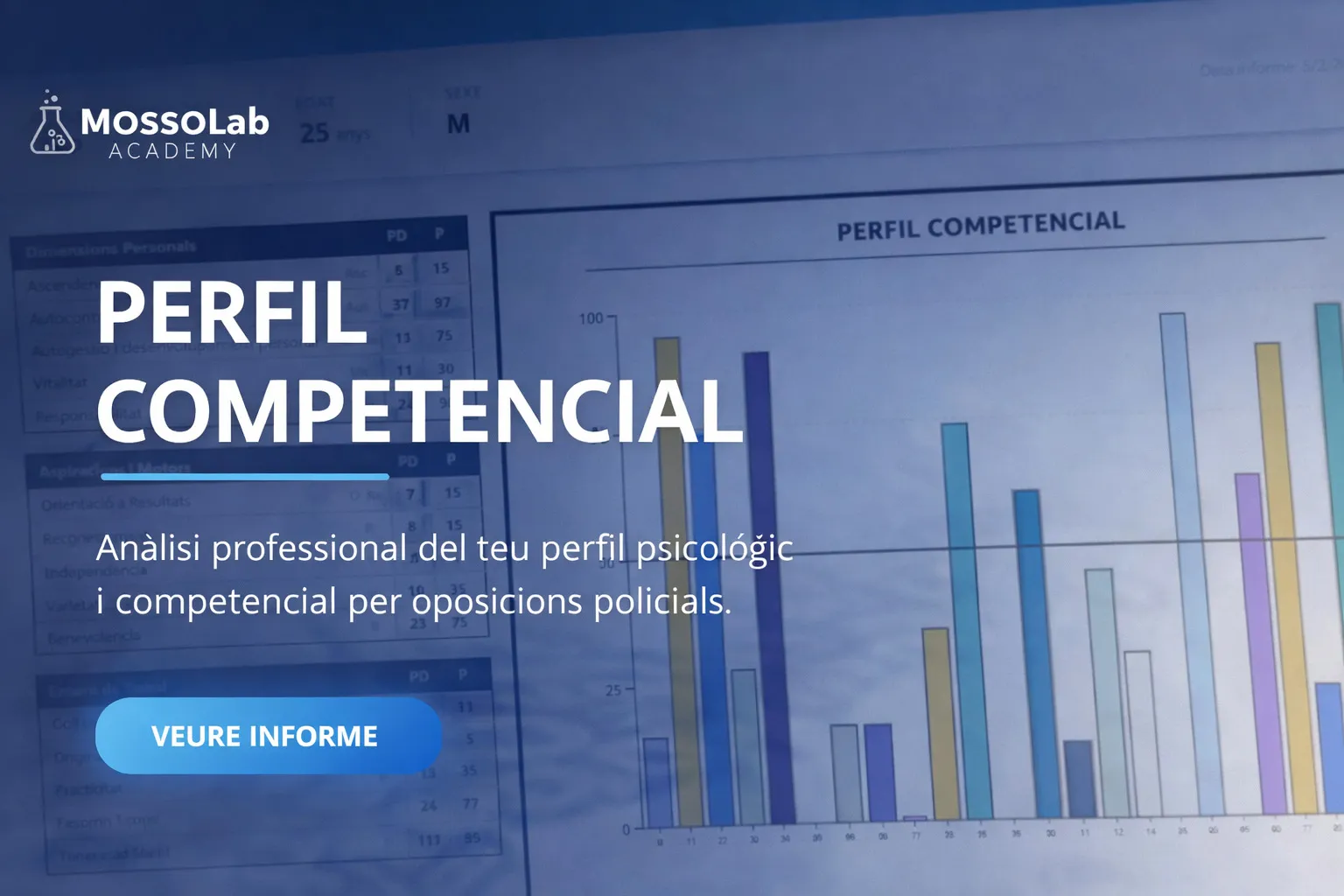 Perfil Competencial - Anàlisi professional